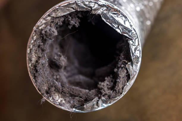 Best HVAC Duct Inspection Services  in Hawthorne, NV